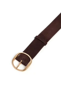 Elster Belt in Dark Brown Suede